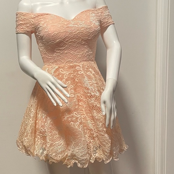Windsor Pink Lace Strapless Dress - Picture 8 of 13